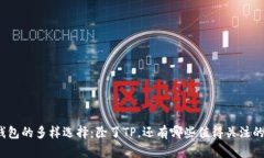 探索数字钱包的多样选择：除了TP，还有哪些值得