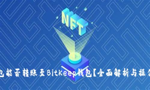 TP钱包能否转账至BitKeep钱包？全面解析与操作指南