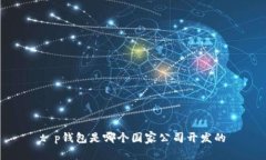 t p钱包是哪个国家公司开发的