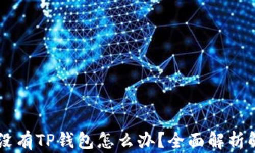 
手机上没有TP钱包怎么办？全面解析解决方案
