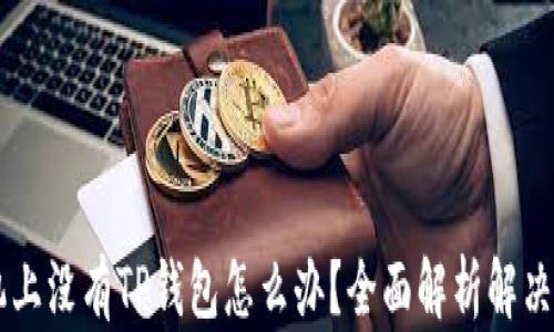 
手机上没有TP钱包怎么办？全面解析解决方案