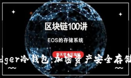 全面解析Lodger冷钱包：加密资产安全存储的最佳选择