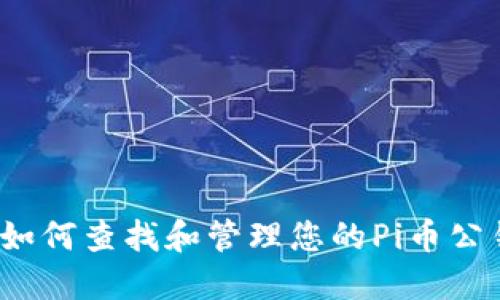  如何查找和管理您的Pi币公钥
