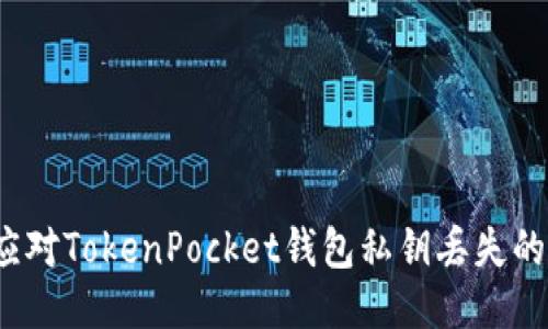 如何应对TokenPocket钱包私钥丢失的问题？