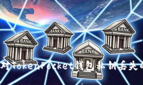 如何应对TokenPocket钱包私钥丢失的问题？