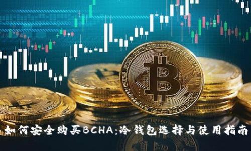 如何安全购买BCHA：冷钱包选择与使用指南
