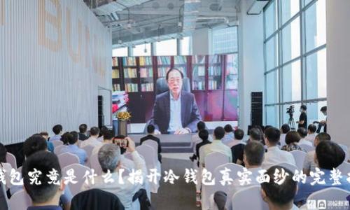 冷钱包究竟是什么？揭开冷钱包真实面纱的完整指南