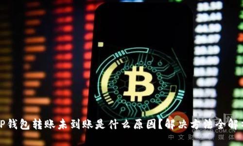 TP钱包转账未到账是什么原因？解决方法全解析