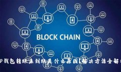 TP钱包转账未到账是什么原因？解决方法全解析