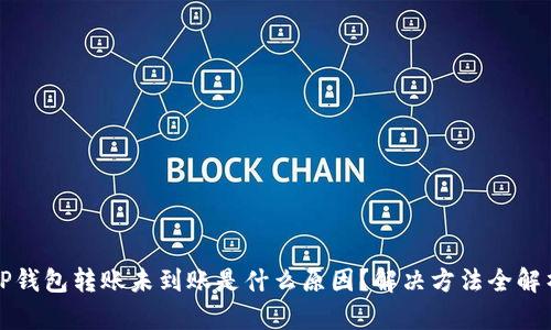 TP钱包转账未到账是什么原因？解决方法全解析