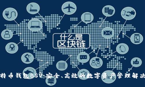 TP比特币钱包BSV：安全、高效的数字资产管理解决方案