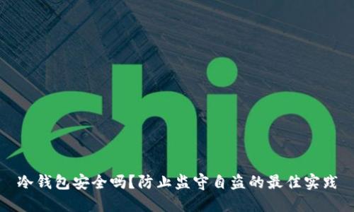 冷钱包安全吗？防止监守自盗的最佳实践