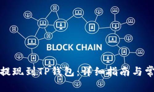 如何从欧易提现到TP钱包：详细指南与常见问题解答