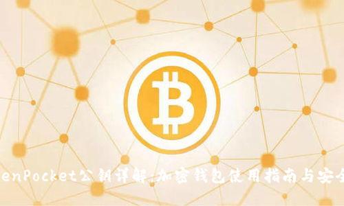 : TokenPocket公钥详解：加密钱包使用指南与安全策略
