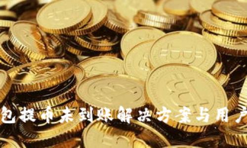 TP钱包提币未到账解决方案与用户指南