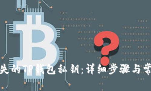 如何找回丢失的TP钱包私钥：详细步骤与常见问题解答