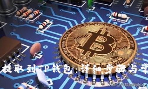 如何将SHIB提取到TP钱包：详细步骤与常见问题解答