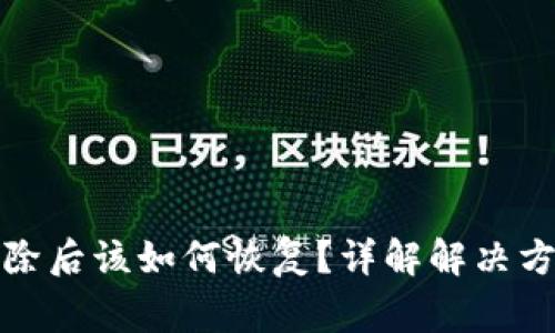 : TP钱包被删除后该如何恢复？详解解决方案与注意事项