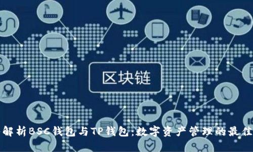 深入解析BSC钱包与TP钱包：数字资产管理的最佳选择