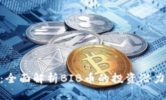 虚拟币BIB：全面解析BIB币的投资潜力与市场前景