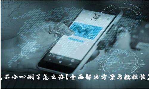 TP钱包不小心删了怎么办？全面解决方案与数据恢复技巧