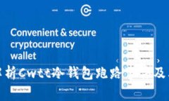 全面解析Cwtt冷钱包跑路事件及其影响