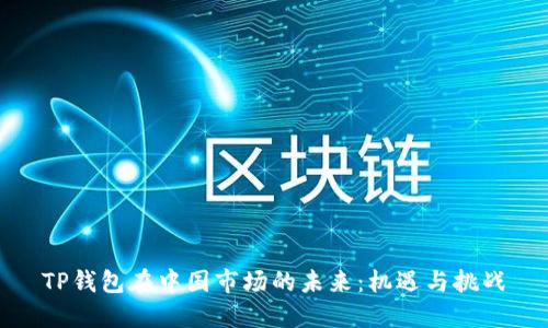 TP钱包在中国市场的未来：机遇与挑战