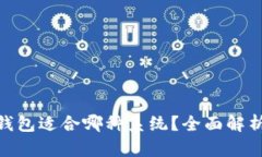 : 比特币冷钱包适合哪种系统？全面解析与最佳选