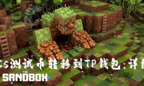 如何将BTCs测试币转移到TP钱包：详细步骤指南
