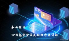 和关键词TP钱包资金消失处理方法详解