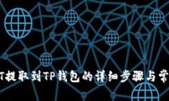 如何将USDT提取到TP钱包的详细步骤与常见问题解