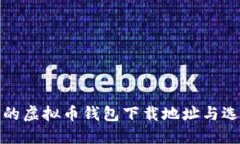 最安全的虚拟币钱包下载地址与选择指南