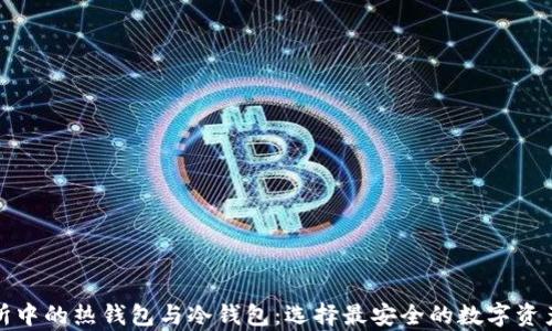 
揭秘交易所中的热钱包与冷钱包：选择最安全的数字资产存储方案