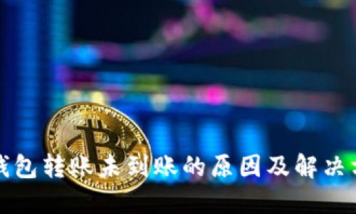 冷钱包转账未到账的原因及解决方案