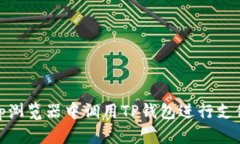 如何在DApp浏览器中调用TP钱包进行支付：全面指