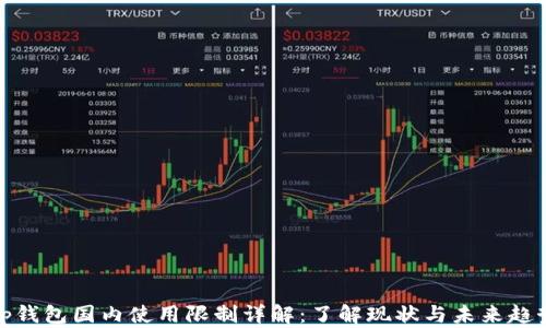 
tp钱包国内使用限制详解：了解现状与未来趋势