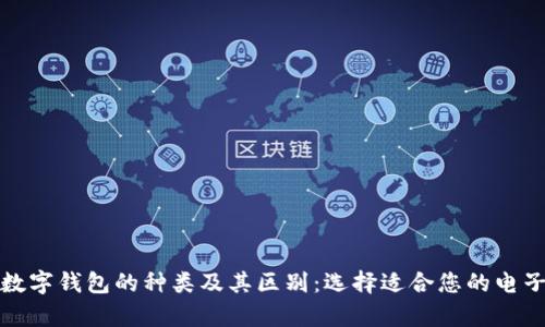 全面解析数字钱包的种类及其区别：选择适合您的电子支付工具
