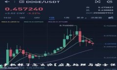 冷钱包手机掉了怎么办？应急处理与安全保障指