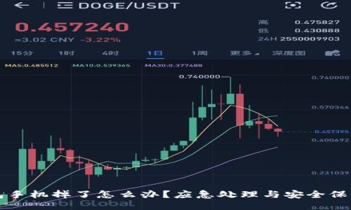 冷钱包手机掉了怎么办？应急处理与安全保障指南