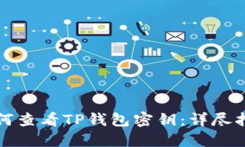 如何查看TP钱包密钥：详尽指南