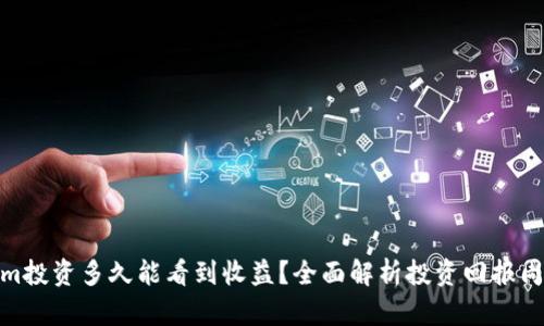Ethereum投资多久能看到收益？全面解析投资回报周期及策略