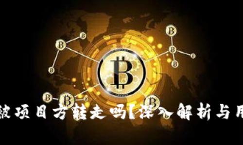 TP钱包的币能被项目方转走吗？深入解析与用户权利的保护