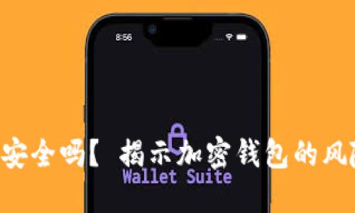 TokenPocket安全吗？ 揭示加密钱包的风险与保护措施