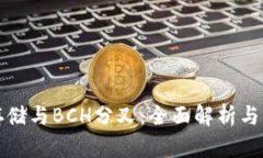 冷钱包存储与BCH分叉：全面解析与实用指南