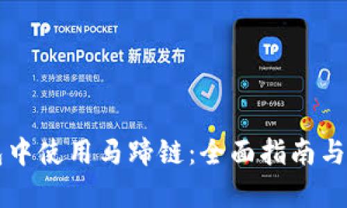 如何在TP钱包中使用马蹄链：全面指南与推荐应用分析