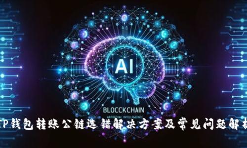 TP钱包转账公链选错解决方案及常见问题解析