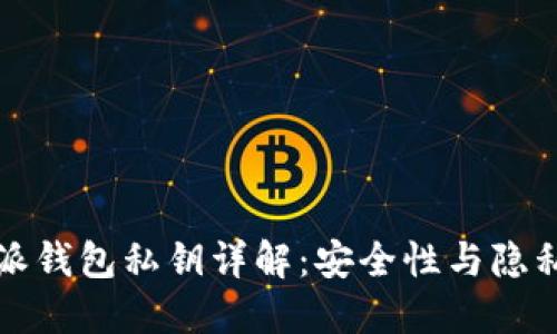 比特派钱包私钥详解：安全性与隐私保护