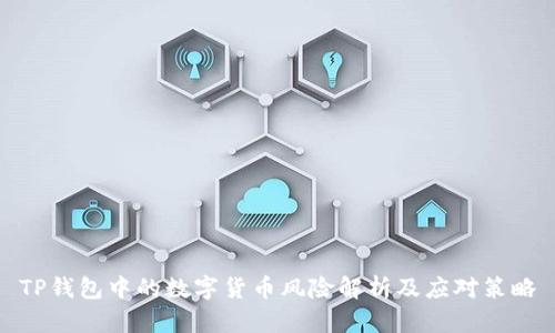 TP钱包中的数字货币风险解析及应对策略