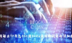 如何解决TP钱包BSC转OKEx未到账问题的详细指南