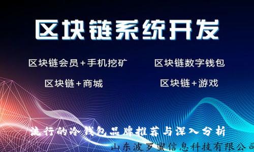 流行的冷钱包品牌推荐与深入分析